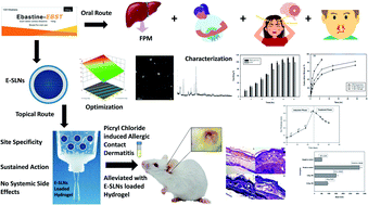 Graphical abstract: Chitosan hydrogel for topical delivery of ebastine loaded solid lipid nanoparticles for alleviation of allergic contact dermatitis