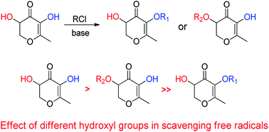 Graphical abstract: Effect of hydroxyl on antioxidant properties of 2,3-dihydro-3,5-dihydroxy-6-methyl-4H-pyran-4-one to scavenge free radicals