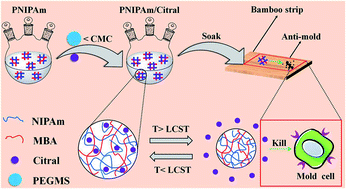 Graphical abstract: Fabrication of core–shell type poly(NIPAm)-encapsulated citral and its application on bamboo as an anti-molding coating