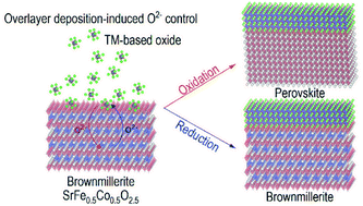Graphical abstract: Overlayer deposition-induced control of oxide ion concentration in SrFe0.5Co0.5O2.5 oxygen sponges