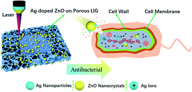 Graphical abstract: Enhancement of antibacterial function by incorporation of silver-doped ZnO nanocrystals onto a laser-induced graphene surface