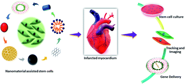 Graphical abstract: Nanotechnology in cardiac stem cell therapy: cell modulation, imaging and gene delivery