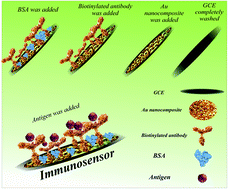 Graphical abstract: Sensitive immunosensing of α-synuclein protein in human plasma samples using gold nanoparticles conjugated with graphene: an innovative immuno-platform towards early stage identification of Parkinson's disease using point of care (POC) analysis