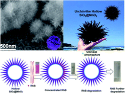 Graphical abstract: Urchin-like hollow SiO2@γ-MnO2 microparticles for the rapid degradation of organic dyes