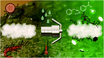 Graphical abstract: Titania/chitosan–lignin nanocomposite as an efficient photocatalyst for the selective oxidation of benzyl alcohol under UV and visible light