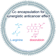 Graphical abstract: Preparation of a PEGylated liposome that co-encapsulates l-arginine and doxorubicin to achieve a synergistic anticancer effect