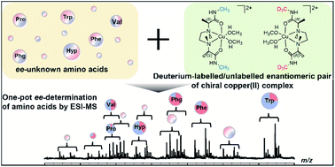 Graphical abstract: One-pot analysis of enantiomeric excess of free amino acids by electrospray ionization mass spectrometry