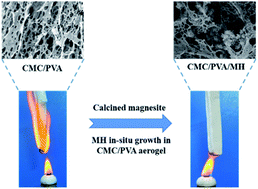 Graphical abstract: In situ nanoarchitectonics of magnesium hydroxide particles for property regulation of carboxymethyl cellulose/poly(vinyl alcohol) aerogels