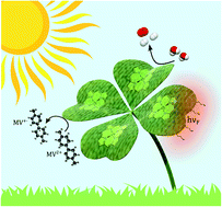 Graphical abstract: Zinc porphyrin/mesoporous titania thin film electrodes: a hybrid material nanoarchitecture for photocatalytic reduction