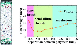 Graphical abstract: Non-monotonic variation of flow strength in nanochannels grafted with end-charged polyelectrolyte layers