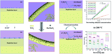 Graphical abstract: A highly stable and sensitive ethanol sensor based on Ru-decorated 1D WO3 nanowires