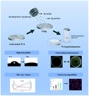 Graphical abstract: Preparation of mussel-inspired silver/polydopamine antibacterial biofilms on Ti–6Al–4V for dental applications