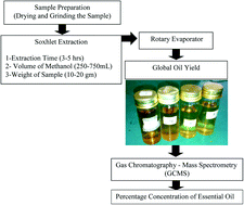 Graphical abstract: Extraction of essential oil from Zingiber officinale and statistical optimization of process parameters