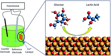 Graphical abstract: Electrochemical biomass upgrading: degradation of glucose to lactic acid on a copper(ii) electrode