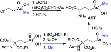 Graphical abstract: Chemical synthesis of the organoarsenical antibiotic arsinothricin