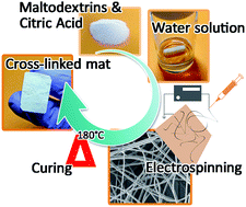 Graphical abstract: Sustainable production of curable maltodextrin-based electrospun microfibers