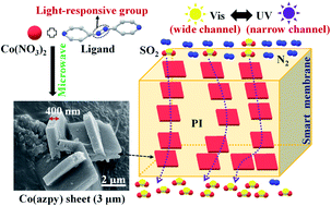 Graphical abstract: Light-responsive metal–organic framework sheets constructed smart membranes with tunable transport channels for efficient gas separation