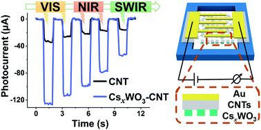 Graphical abstract: Significantly enhanced photoresponse of carbon nanotube films modified with cesium tungsten bronze nanoclusters in the visible to short-wave infrared range