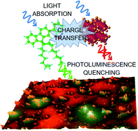 Graphical abstract: Investigation of the exciton relaxation processes in poly(9,9-dioctylfluorene-co-benzothiadiazole):CsPbI1.5Br1.5 nanocrystal hybrid polymer–perovskite nanocrystal blend