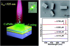 Graphical abstract: Surface plasmon coupling regulated CsPbBr3 perovskite lasers in a metal–insulator–semiconductor structure