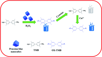 Graphical abstract: Colorimetric determination of cysteine and copper based on the peroxidase-like activity of Prussian blue nanocubes