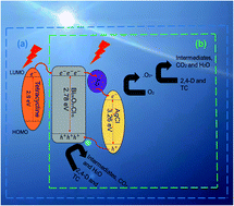 Graphical abstract: Synthesis of a plasmonic AgCl and oxygen-rich Bi24O31Cl10 composite heterogeneous catalyst for enhanced degradation of tetracycline and 2,4-dichlorophenoxy acetic acid