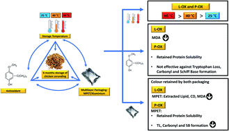 Graphical abstract: Lipid oxidation and protein co-oxidation in ready-to-eat meat products as affected by temperature, antioxidant, and packaging material during 6 months of storage