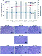 Graphical abstract: Formation of double emulsion micro-droplets in a microfluidic device using a partially hydrophilic–hydrophobic surface