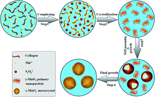 Graphical abstract: Biofunctional hollow γ-MnO2 microspheres by a one-pot collagen-templated biomineralization route and their applications in lithium batteries