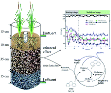 Graphical abstract: Effect of humic acid on phenanthrene removal by constructed wetlands using birnessite as a substrate