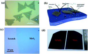 Graphical abstract: Chemical vapor deposition merges MoS2 grains into high-quality and centimeter-scale films on Si/SiO2