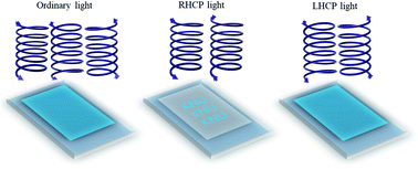 Graphical abstract: Optical anticounterfeiting photonic bilayer film based on handedness of solid-state helicoidal structure