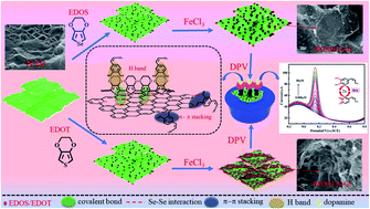 Graphical abstract: Electrochemical sensor formed from poly(3,4-ethylenedioxyselenophene) and nitrogen-doped graphene composite for dopamine detection