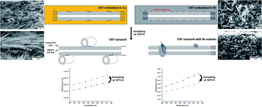 Graphical abstract: On the resistivity, temperature coefficient of resistance, and ampacity of Cu–CNT and Ni–CNT composites