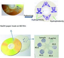 Graphical abstract: A novel biosensor based on Blu-ray disc coating film for determination of total amino acid content in tea leaves