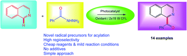 Graphical abstract: Photo-redox catalyzed dehydrazinative acylation of N-heterocycles via Minisci reaction