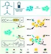 Graphical abstract: Ratiometric fluorescence assay based on carbon dots and Cu2+-catalyzed oxidation of O-phenylenediamine for the effective detection of deferasirox