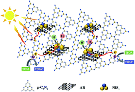 Graphical abstract: Highly dispersed NiS2 quantum dots as a promising cocatalyst bridged by acetylene black significantly improved the photocatalytic H2 evolution performance of g-C3N4 nanosheets