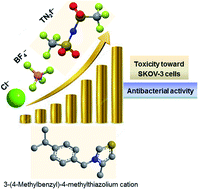 Graphical abstract: Fine-tuning of the pharmacological potential of novel thiazolium ionic liquids by anion alteration