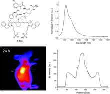 Graphical abstract: A novel NIR-II probe for improved tumor-targeting NIR-II imaging