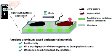 Graphical abstract: Rapid antibacterial activity of anodized aluminum-based materials impregnated with quaternary ammonium compounds for high-touch surfaces to limit transmission of pathogenic bacteria