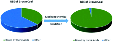 Graphical abstract: Concentrating rare earth elements in brown coal humic acids by mechanochemical treatment