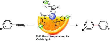 Graphical abstract: Cu(ii)–vitamin C-complex catalyzed photo-induced homocoupling reaction of aryl boronic acid in base-free and visible light conditions