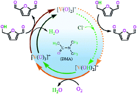 Graphical abstract: Theoretical study on molecular mechanism of aerobic oxidation of 5-hydroxymethylfurfural to 2,5-diformyfuran catalyzed by VO2+ with counterpart anion in N,N-dimethylacetamide solution