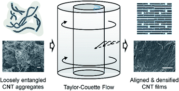 Graphical abstract: Investigation of shear-induced rearrangement of carbon nanotube bundles using Taylor–Couette flow