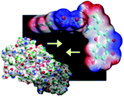 Graphical abstract: Exploration of plant-derived natural polyphenols toward COVID-19 main protease inhibitors: DFT, molecular docking approach, and molecular dynamics simulations