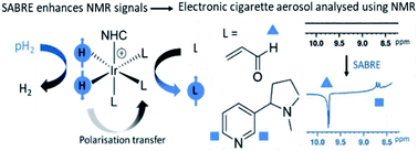 Graphical abstract: Hyperpolarised NMR to aid molecular profiling of electronic cigarette aerosols