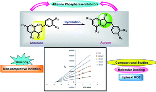 Graphical abstract: 2-Benzylidenebenzofuran-3(2H)-ones as a new class of alkaline phosphatase inhibitors: synthesis, SAR analysis, enzyme inhibitory kinetics and computational studies