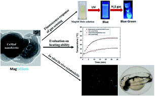 Graphical abstract: Fabrication of biocompatible magneto-fluorescence nanoparticles as a platform for fluorescent sensor and magnetic hyperthermia applications