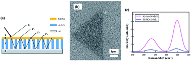 Graphical abstract: Enhanced photoresponse of a MoS2 monolayer using an AAO template